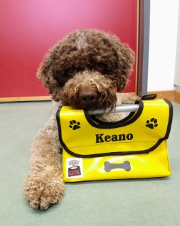 Keano mit gelber Tasche