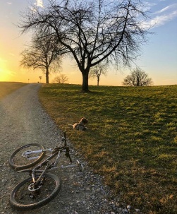Sonnenuntergang Bike